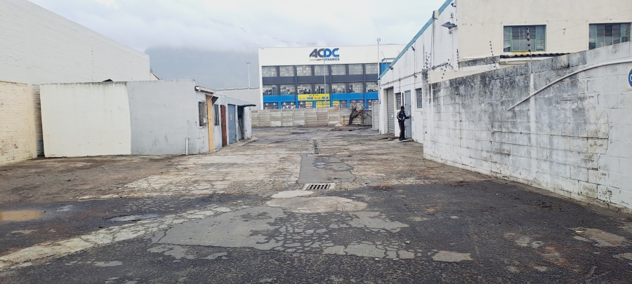 To Let commercial Property for Rent in Paarden Eiland Western Cape